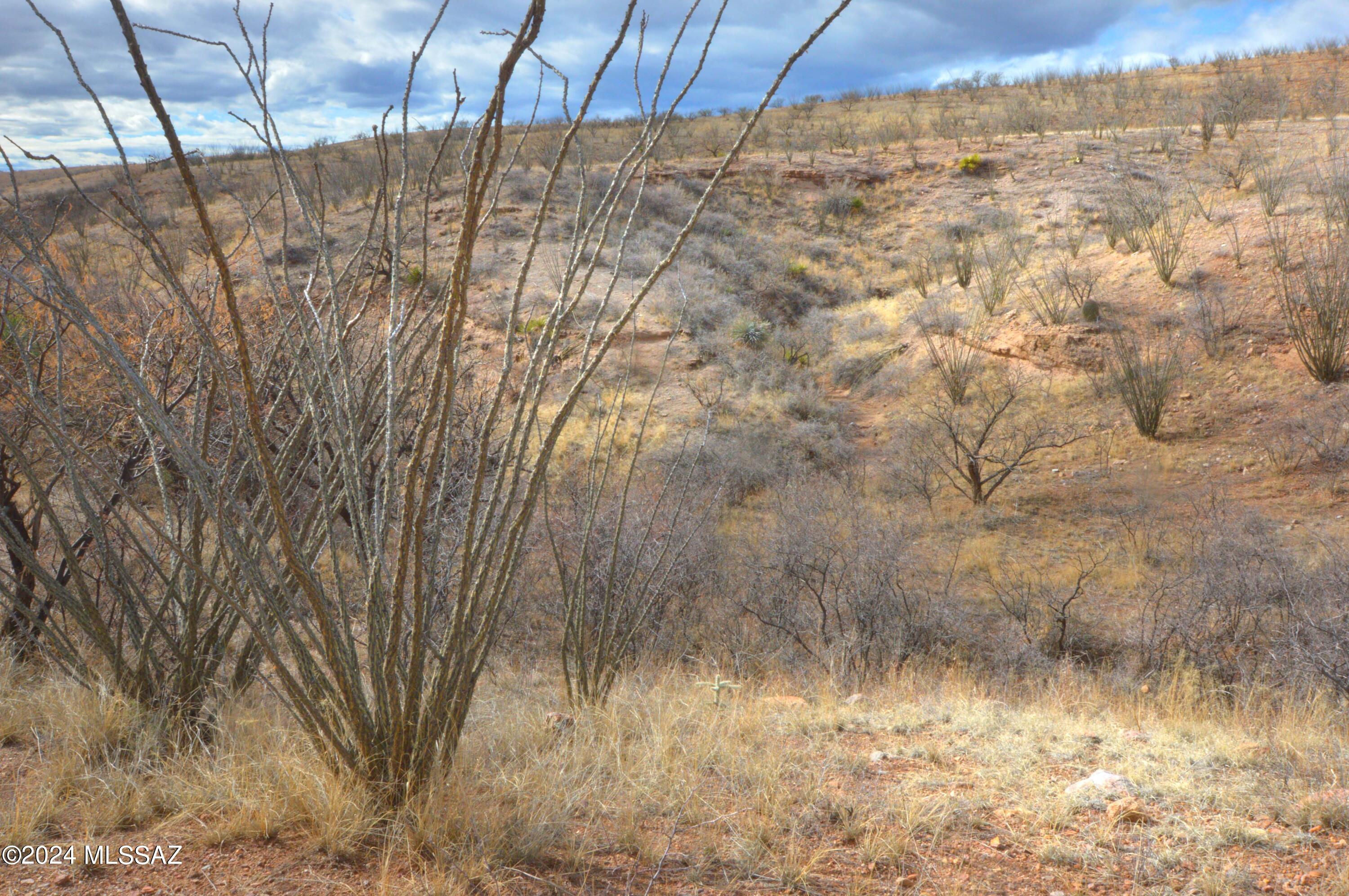 Lake Patagonia Ranch - Land