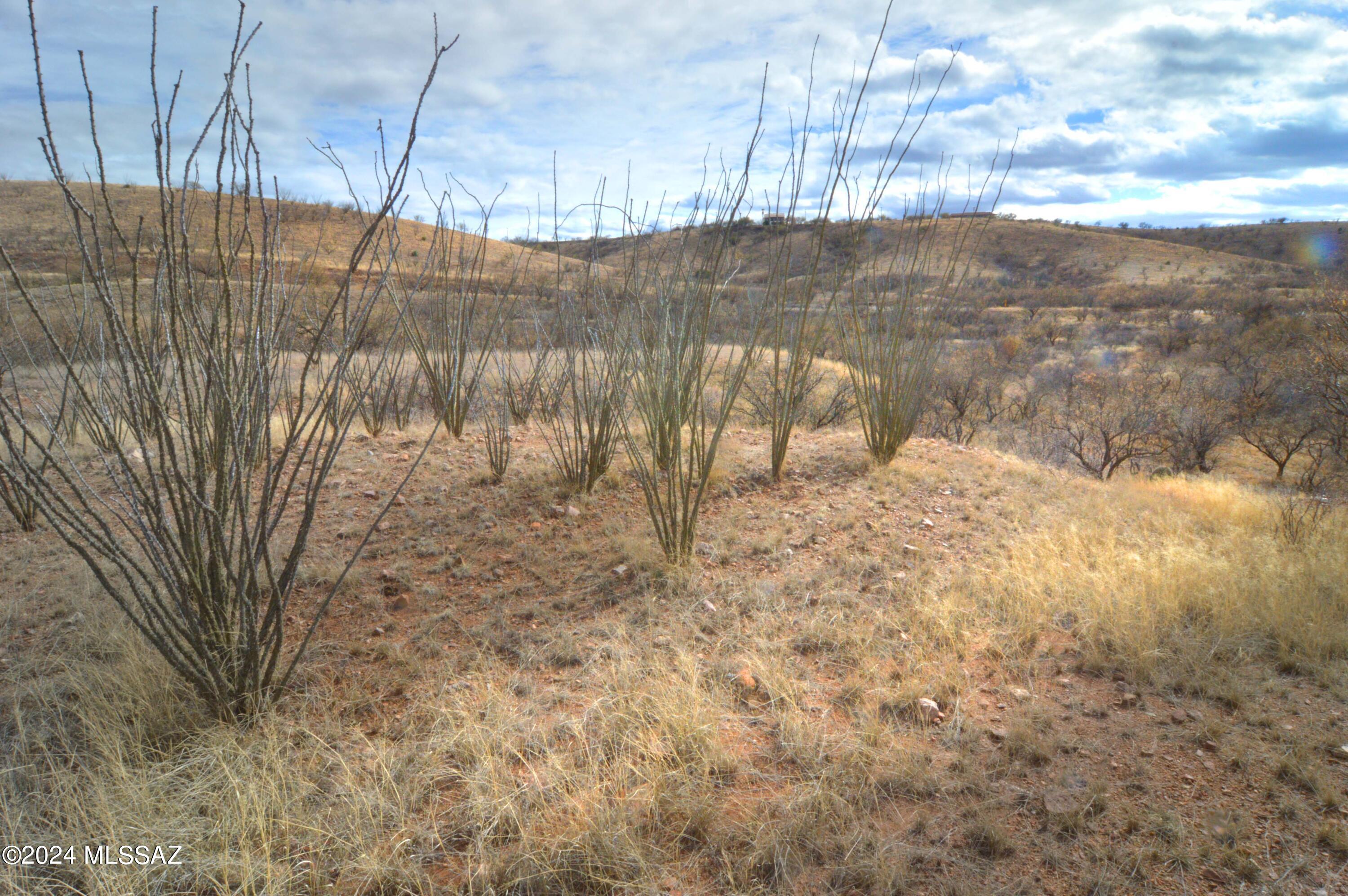 Lake Patagonia Ranch - Land