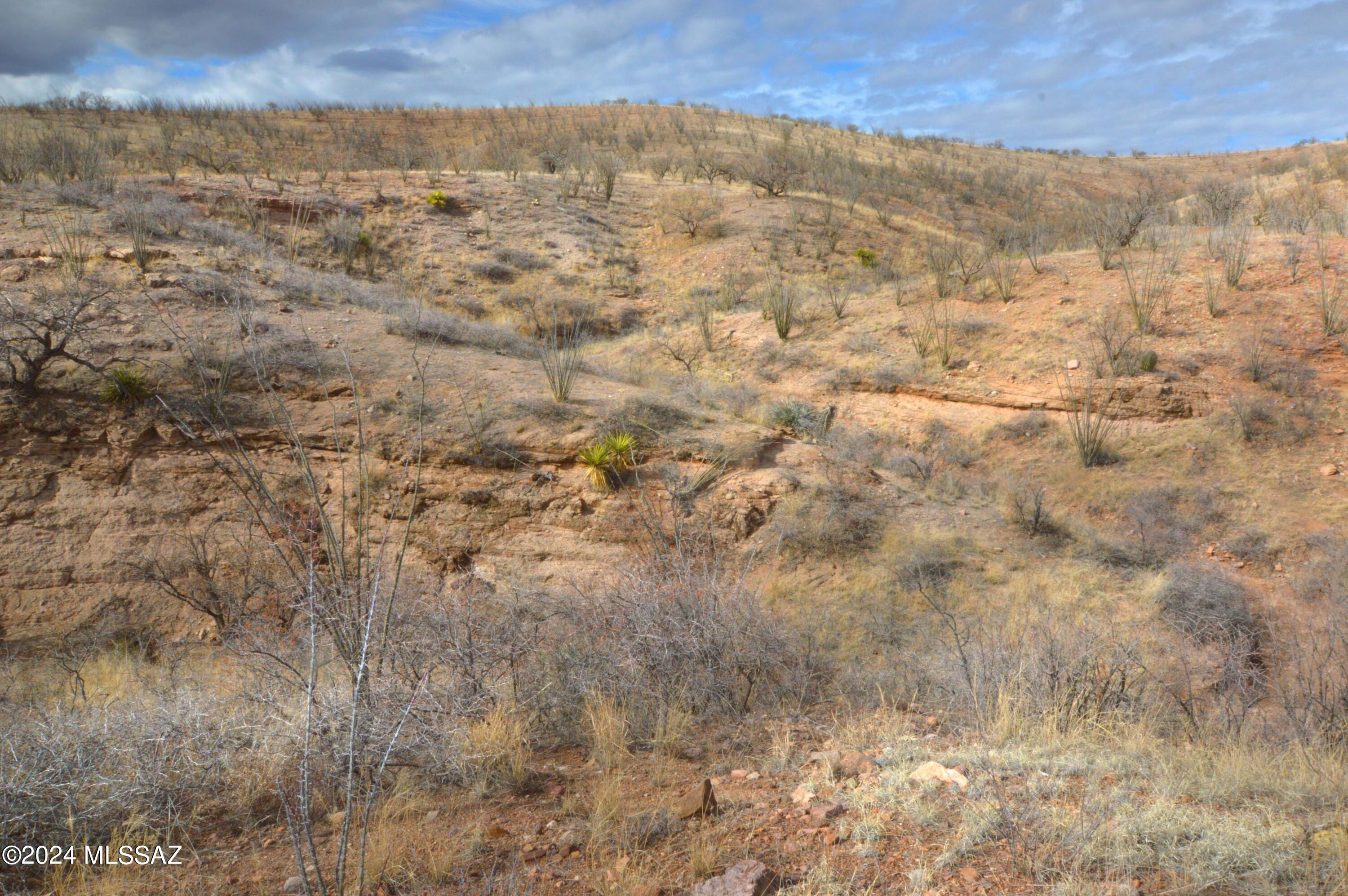 Lake Patagonia Ranch - Land