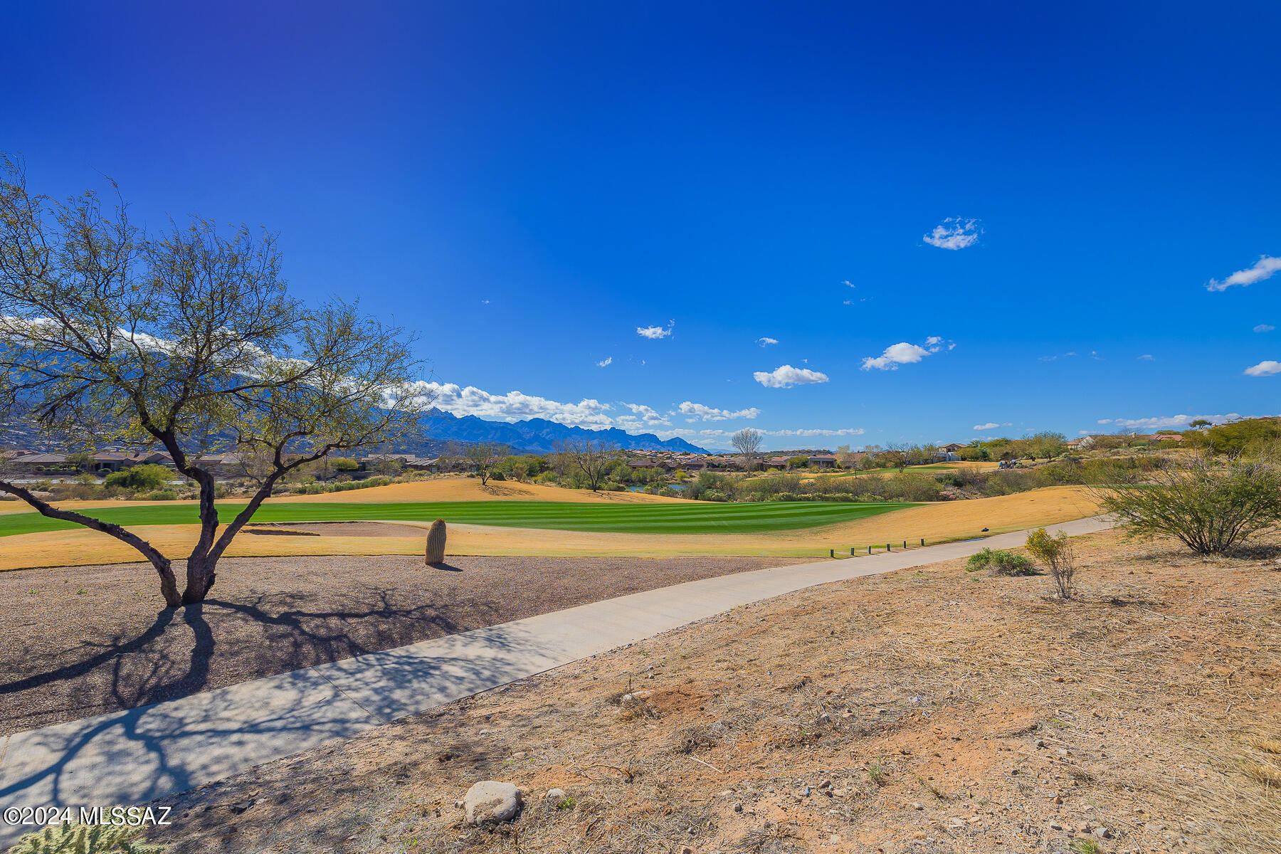 Saddlebrooke - Residential