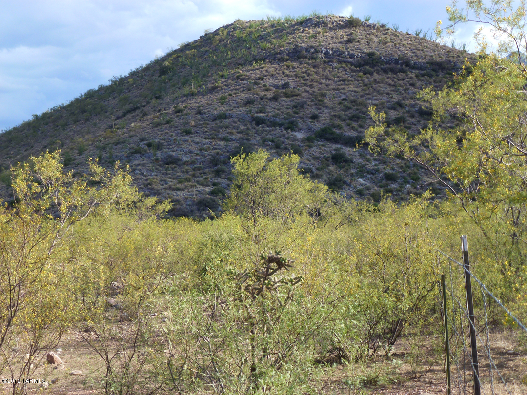 Ten mostly-level acres on paved road 1.4 mi east of Portal, geocodes 31.911366, -109.117471 with a great big 6 5/8'' , water was plentiful, groundwater level was at 92 feet when drilled. Power, phone, DSL on lot line. Partly fenced. No deed restrictions. Diverse vegetation, quiet and peaceful. Southern end of lot rises a bit onto the limestone hillside to the south. there is an IRS lien on property which does not affect buyer. Lien will be paid off by seller at closing from proceeds of the sale.
Agent Only Remarks: Advise clients that there is an IRS lien on property may delay offer acceptance by several days, possibly weeks. No driveway onto property; this will require a permit from Cochise County and a cement apron and gate.