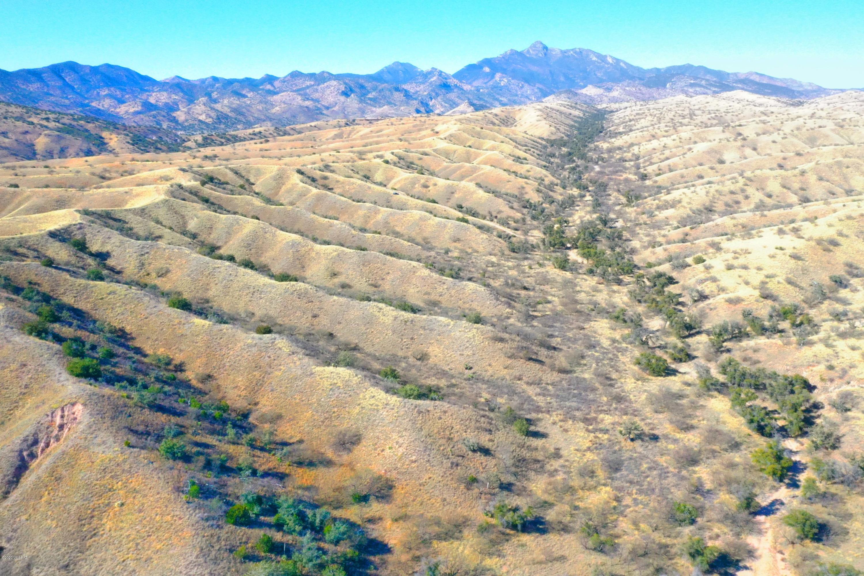 The Estates At Three Canyons - Land