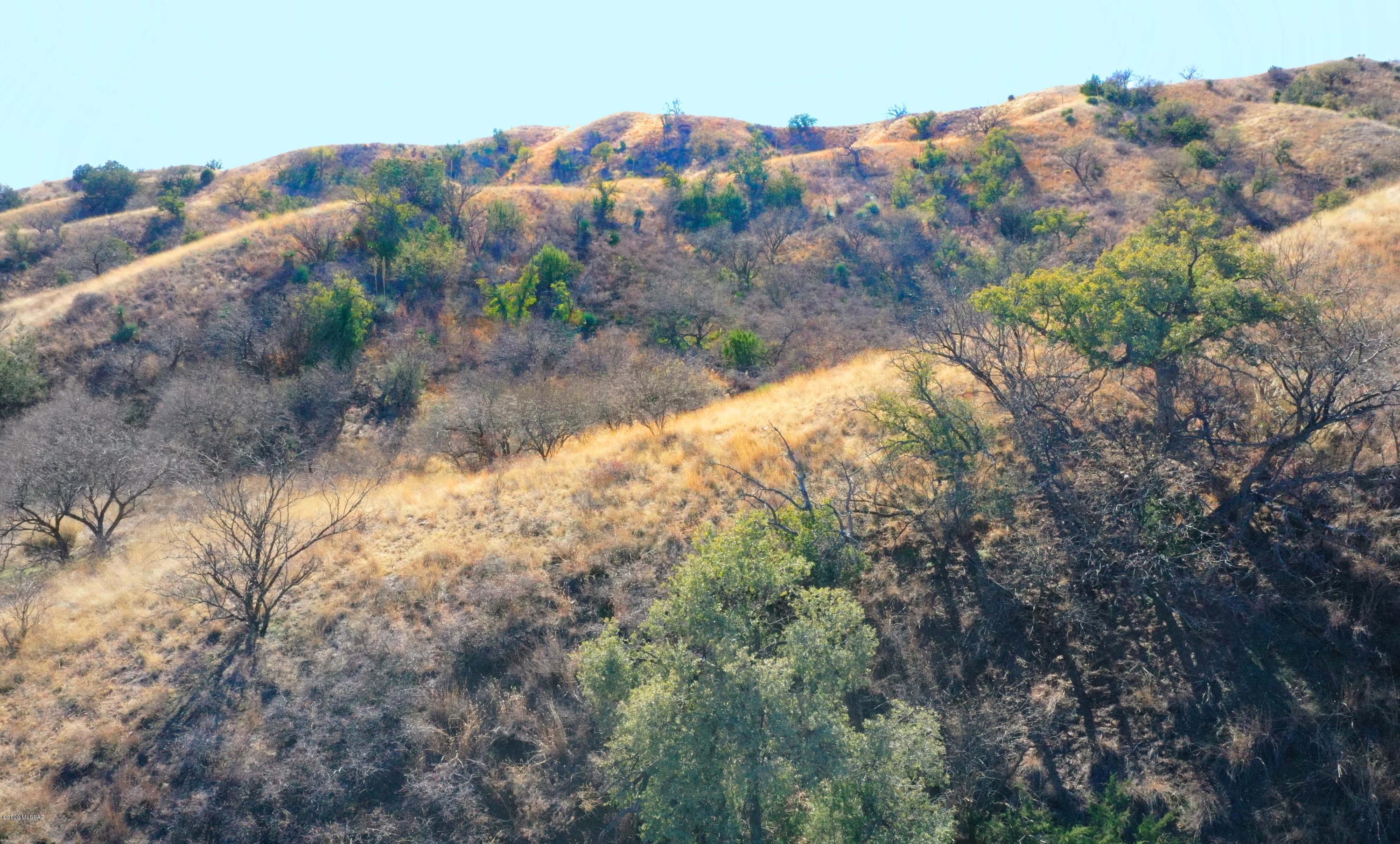 The Estates At Three Canyons - Land