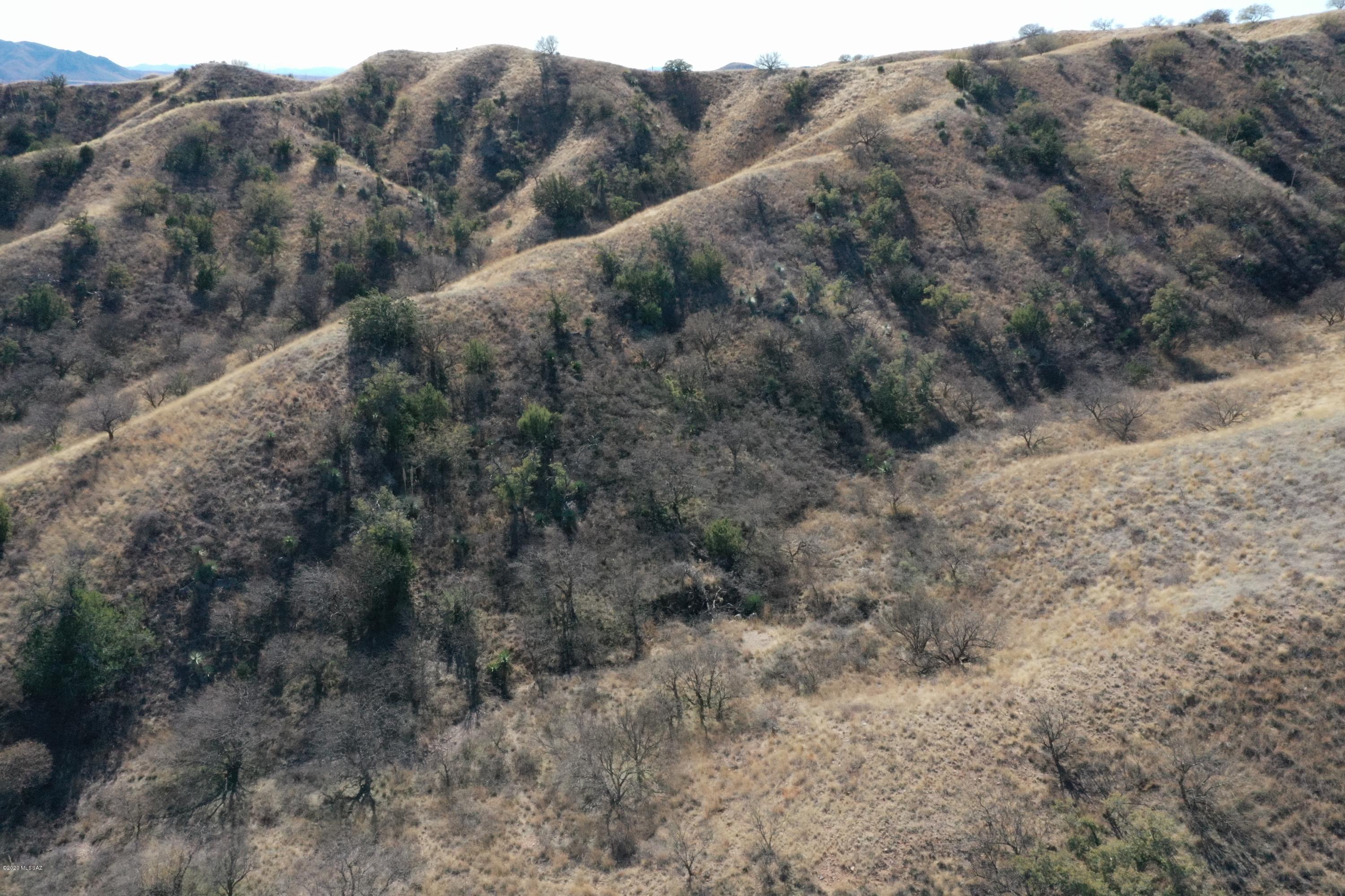The Estates At Three Canyons - Land
