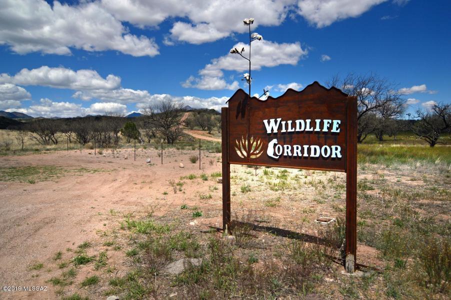 The Estates At Three Canyons - Land