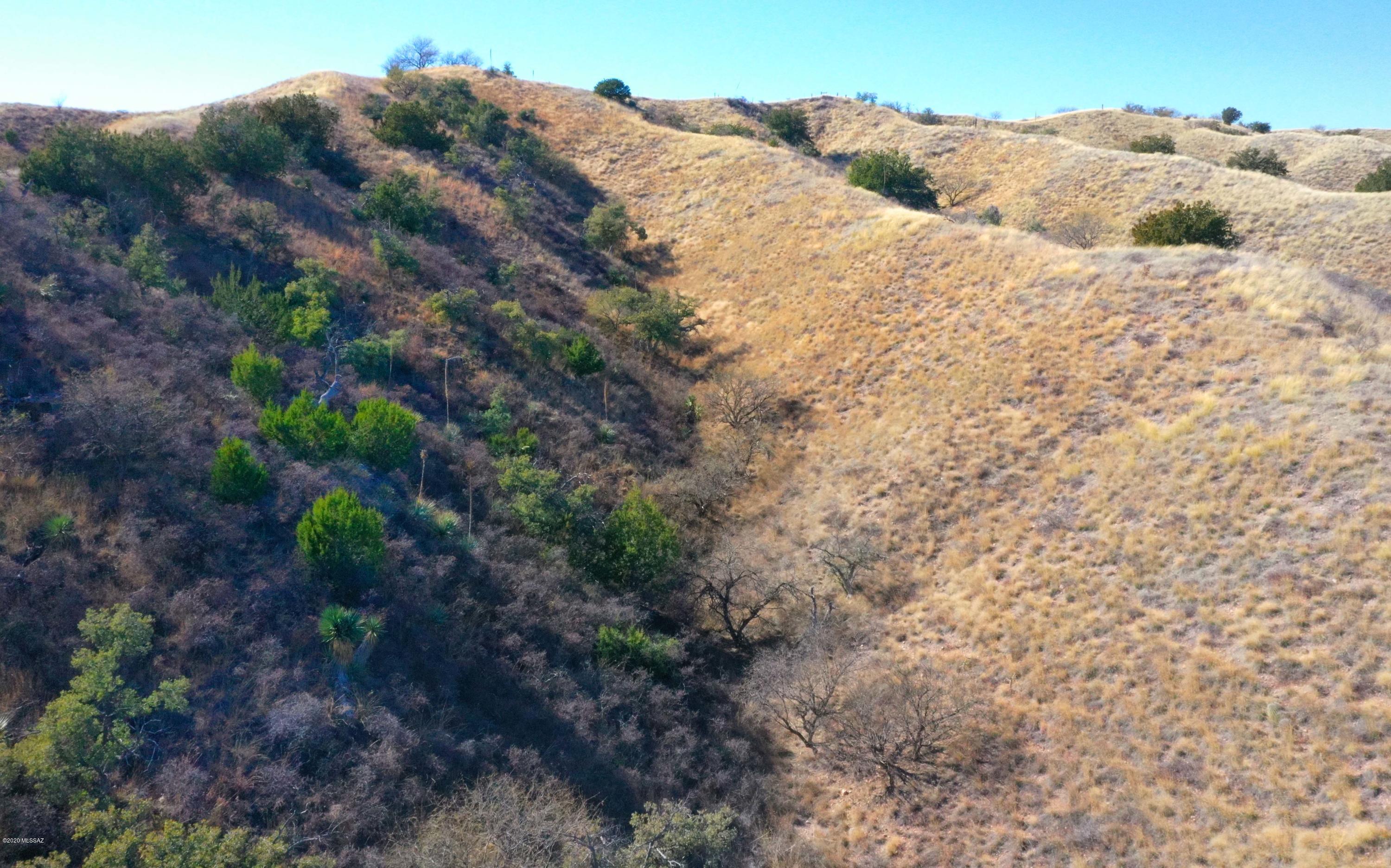 The Estates At Three Canyons - Land