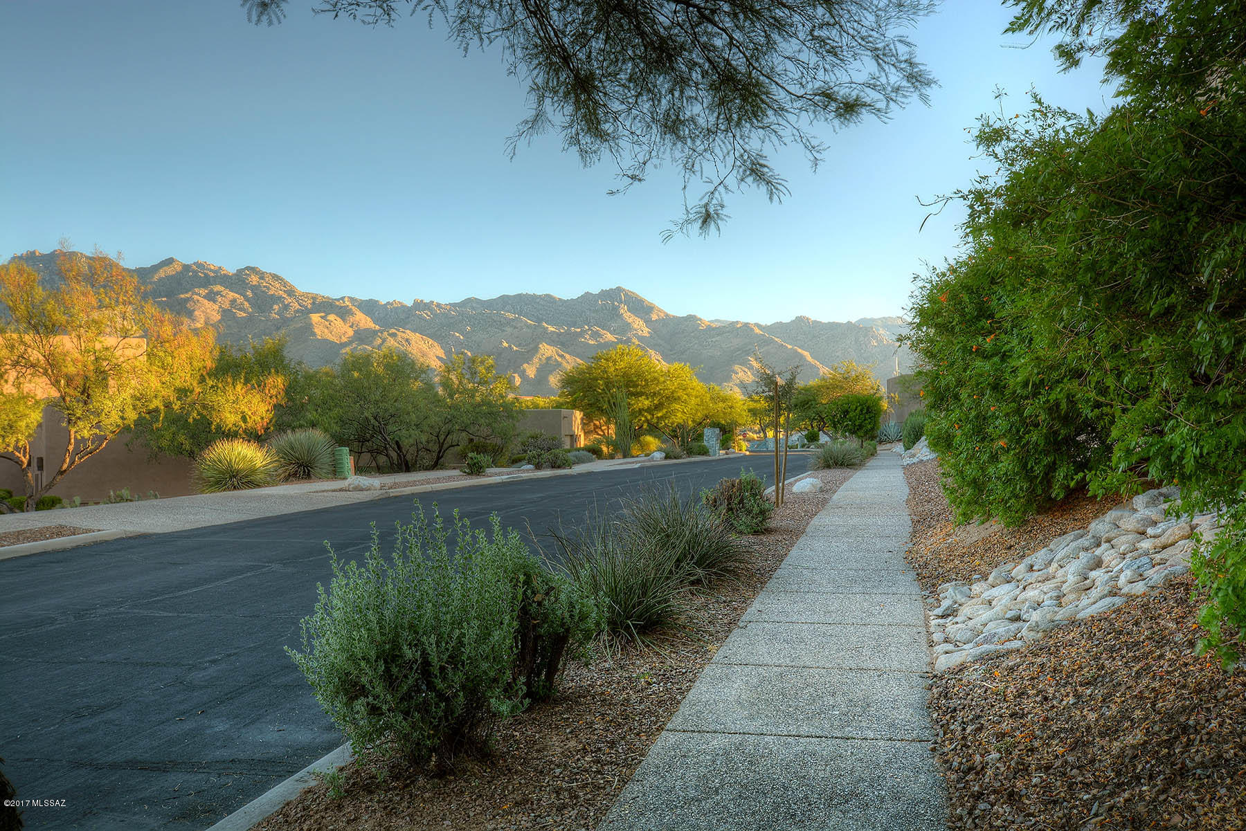Canyon Ridge (1-40) - Residential