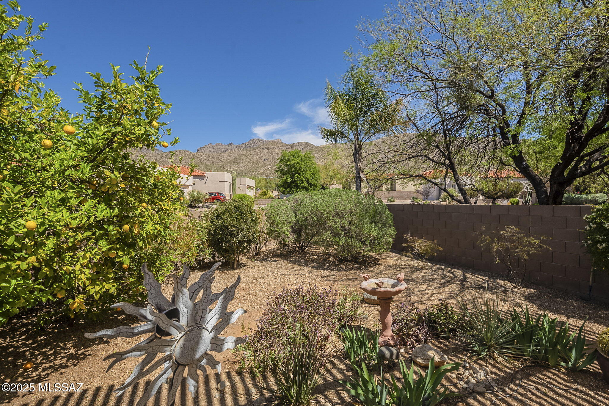 Sterling Springs at Sabino Springs(1-64) - Residential