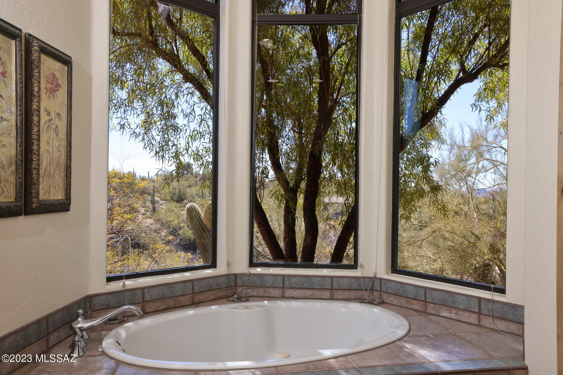 Catalina Foothills Estates - Residential