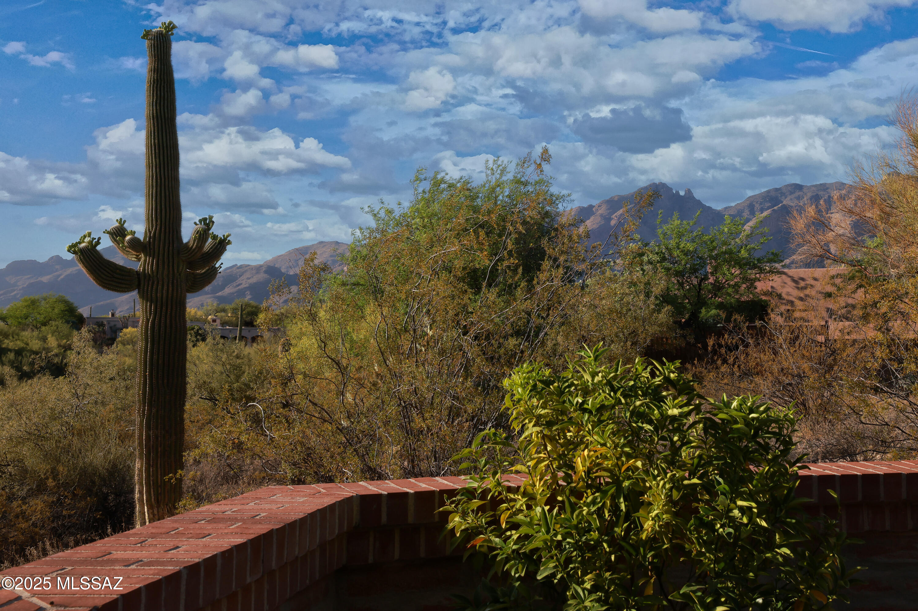 Catalina Foothills Est. NO. 10 (73-90, 119, 121, 123, 127-146) - Residential