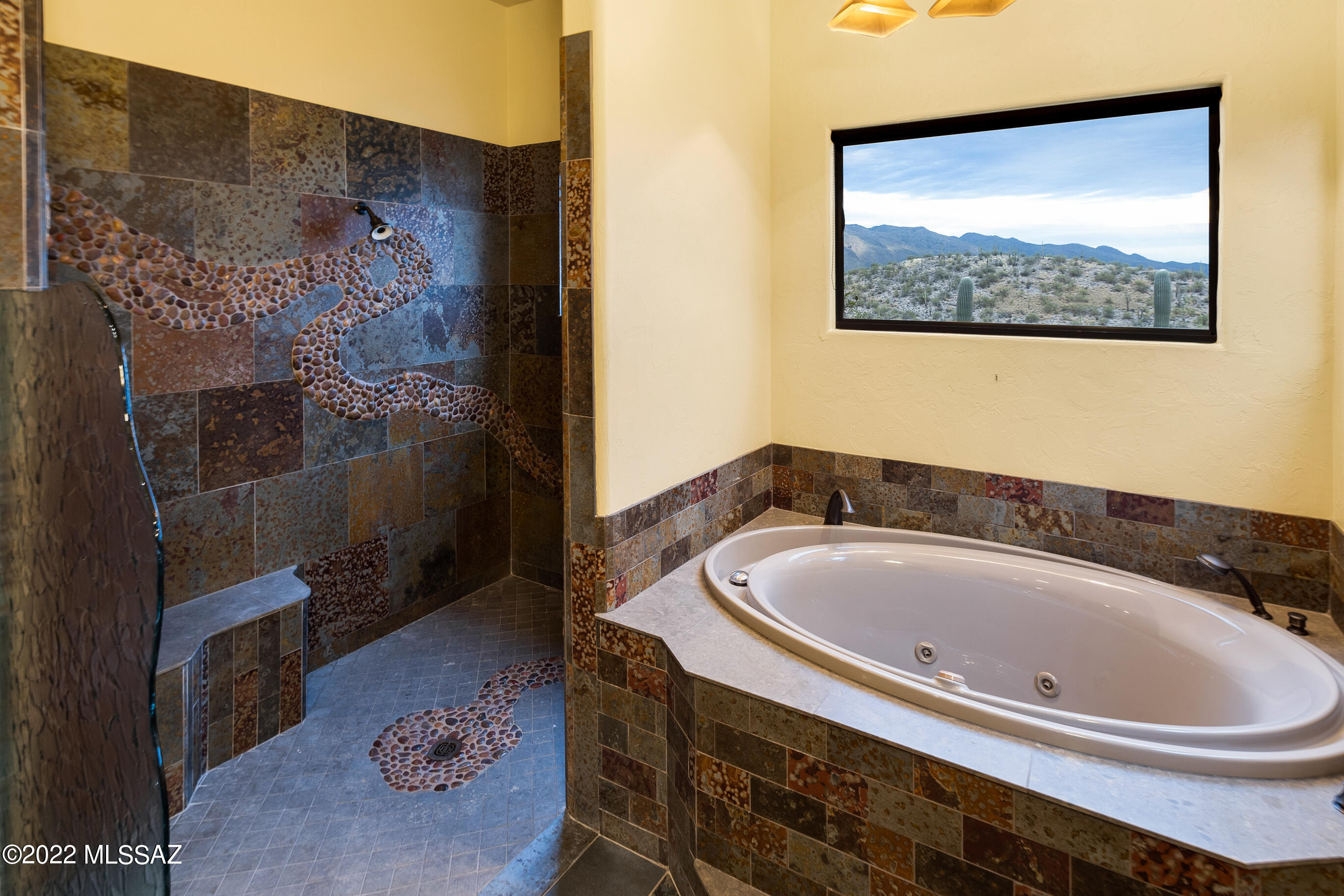 Sabino Mountain (1-290) - Residential