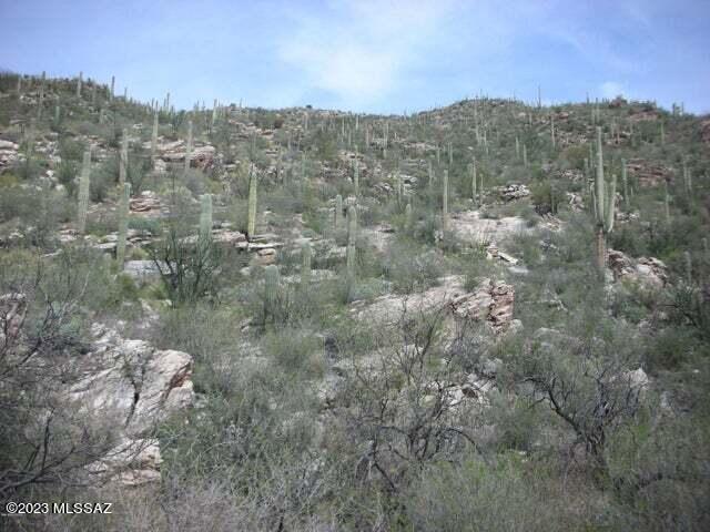 Ventana Canyon Mountain Estate (1-73) - Land