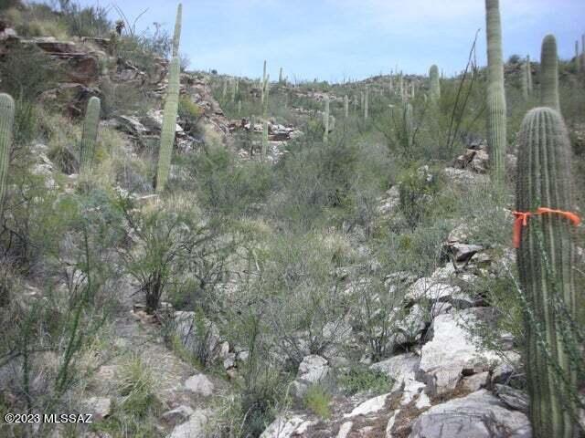Ventana Canyon Mountain Estate (1-73) - Land