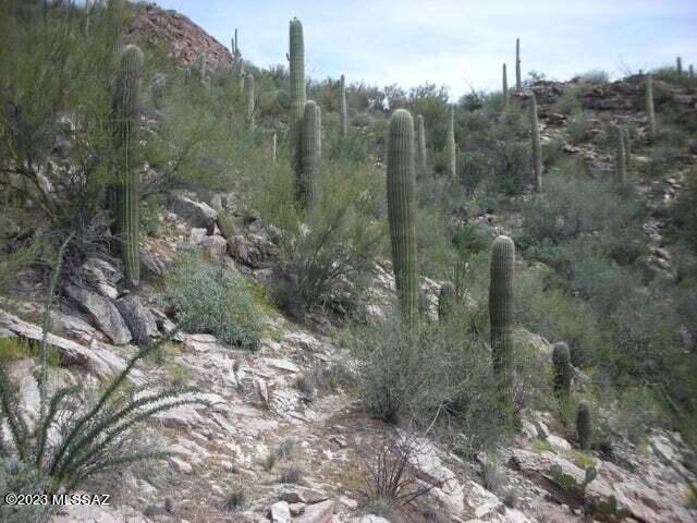 Ventana Canyon Mountain Estate (1-73) - Land