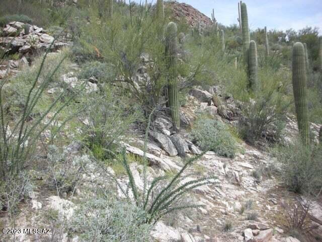 Ventana Canyon Mountain Estate (1-73) - Land