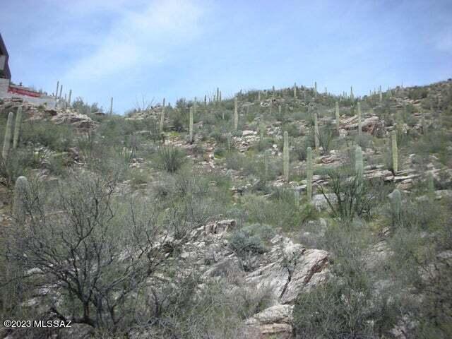 Ventana Canyon Mountain Estate (1-73) - Land