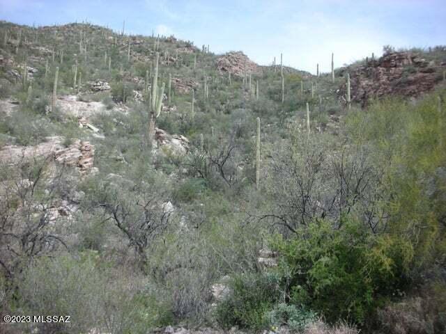 Ventana Canyon Mountain Estate (1-73) - Land
