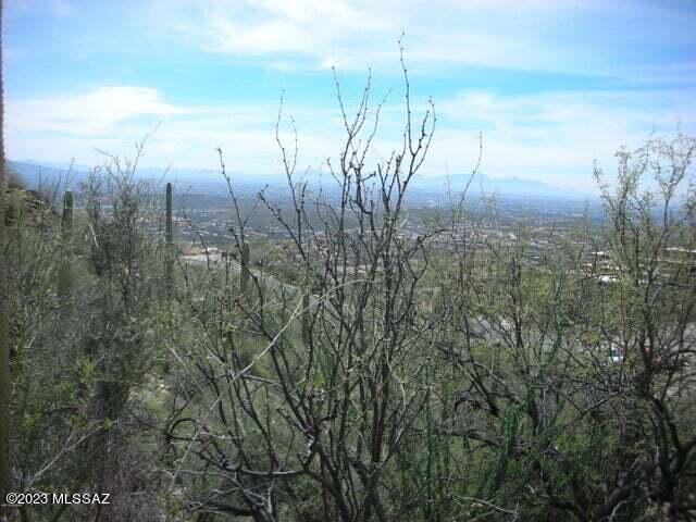 Ventana Canyon Mountain Estate (1-73) - Land