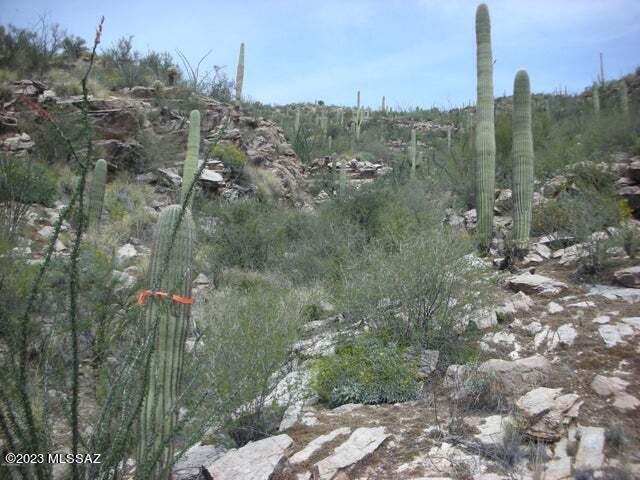 Ventana Canyon Mountain Estate (1-73) - Land