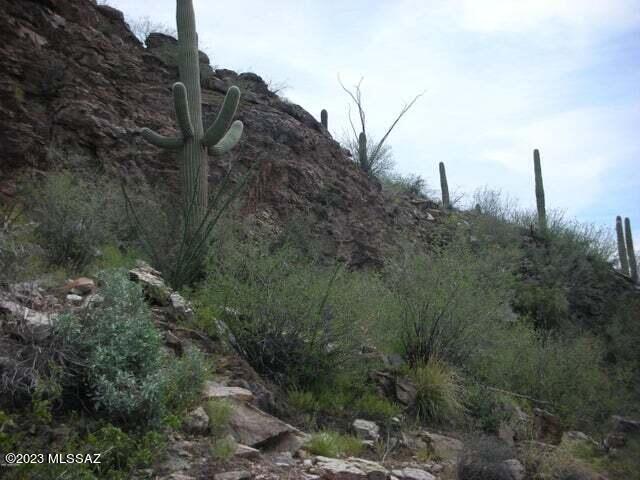Ventana Canyon Mountain Estate (1-73) - Land