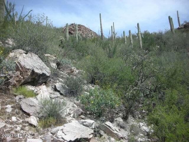 Ventana Canyon Mountain Estate (1-73) - Land