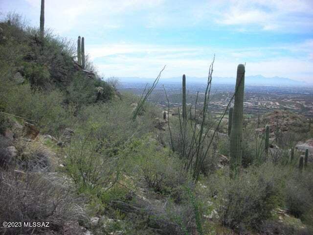 Ventana Canyon Mountain Estate (1-73) - Land