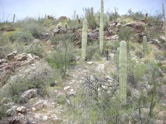 Ventana Canyon Mountain Estate (1-73) - Land
