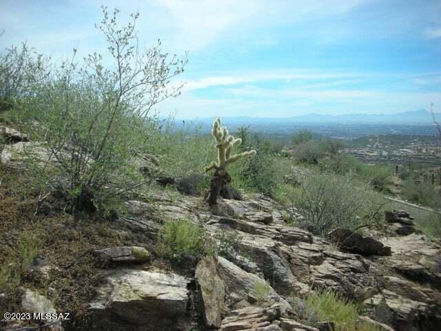 Ventana Canyon Mountain Estate (1-73) - Land