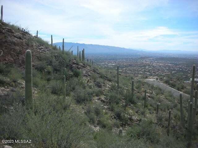 Ventana Canyon Mountain Estate (1-73) - Land