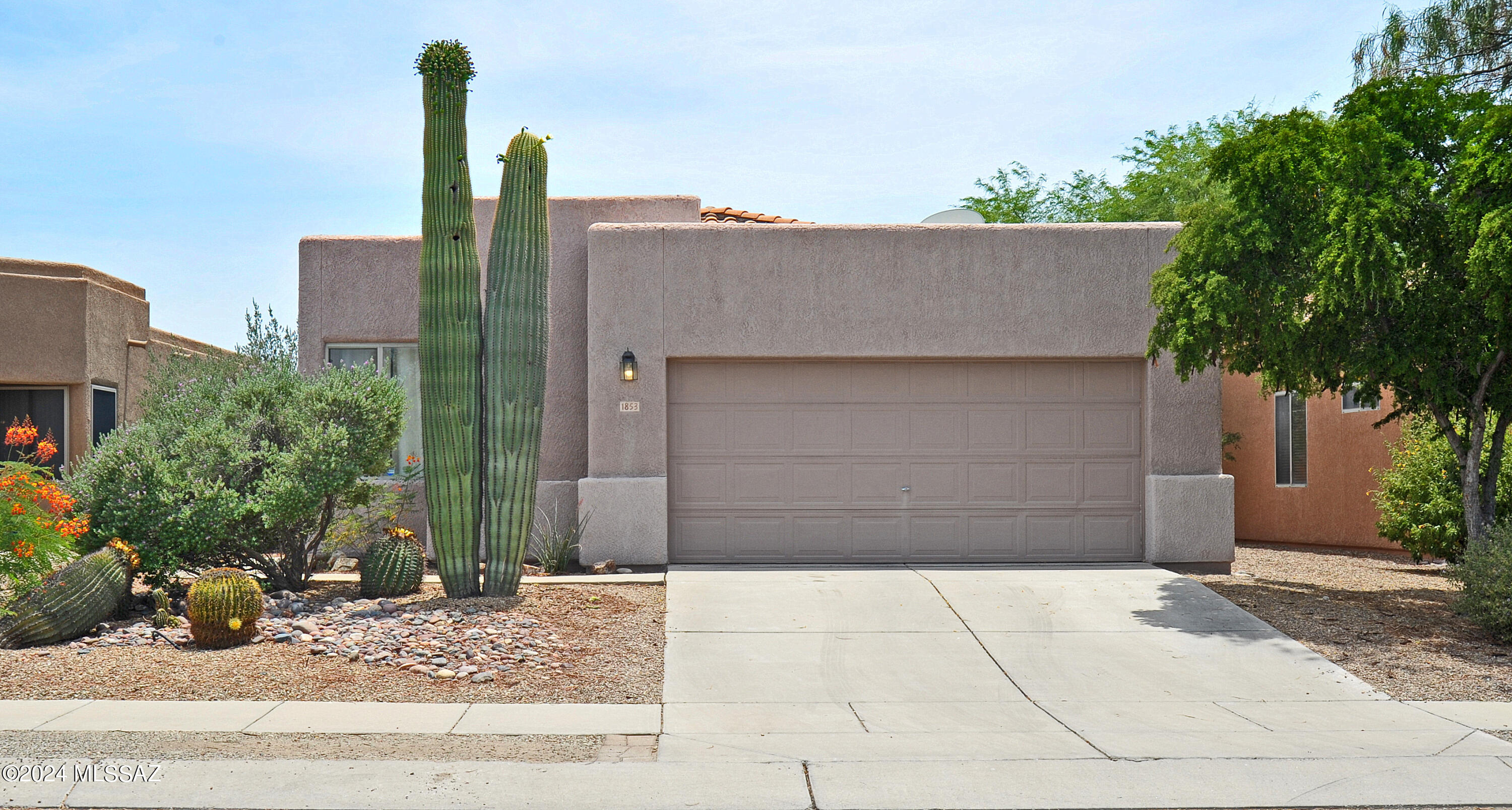 Clean 3-bedroom 2 bath home with tile & laminate flooring throughout except for the primary bedroom. This home backs to common area, is convenient to THE LOOP &close to shopping & restaurants. The kitchen features a stainless steel 5-burner stove, microwave, refrigerator, tile floors, breakfast area and pantry. The primary bedroom has new carpet, ceiling fan, walk-in closet & a private bath w/ dual sinks, slate tile floors and a slate tile shower w/ glass door. The great room sports a living/dining area, tile floors, ceiling fan, tv mount & a slider out to the covered patio. The covered patio overlooks the easy-care rear yard that features a built-in BBQ and smoker. Seller is providing a Fidelity National Home Warranty Enhanced plan for your ease of mind. Don't miss this opportunity.
