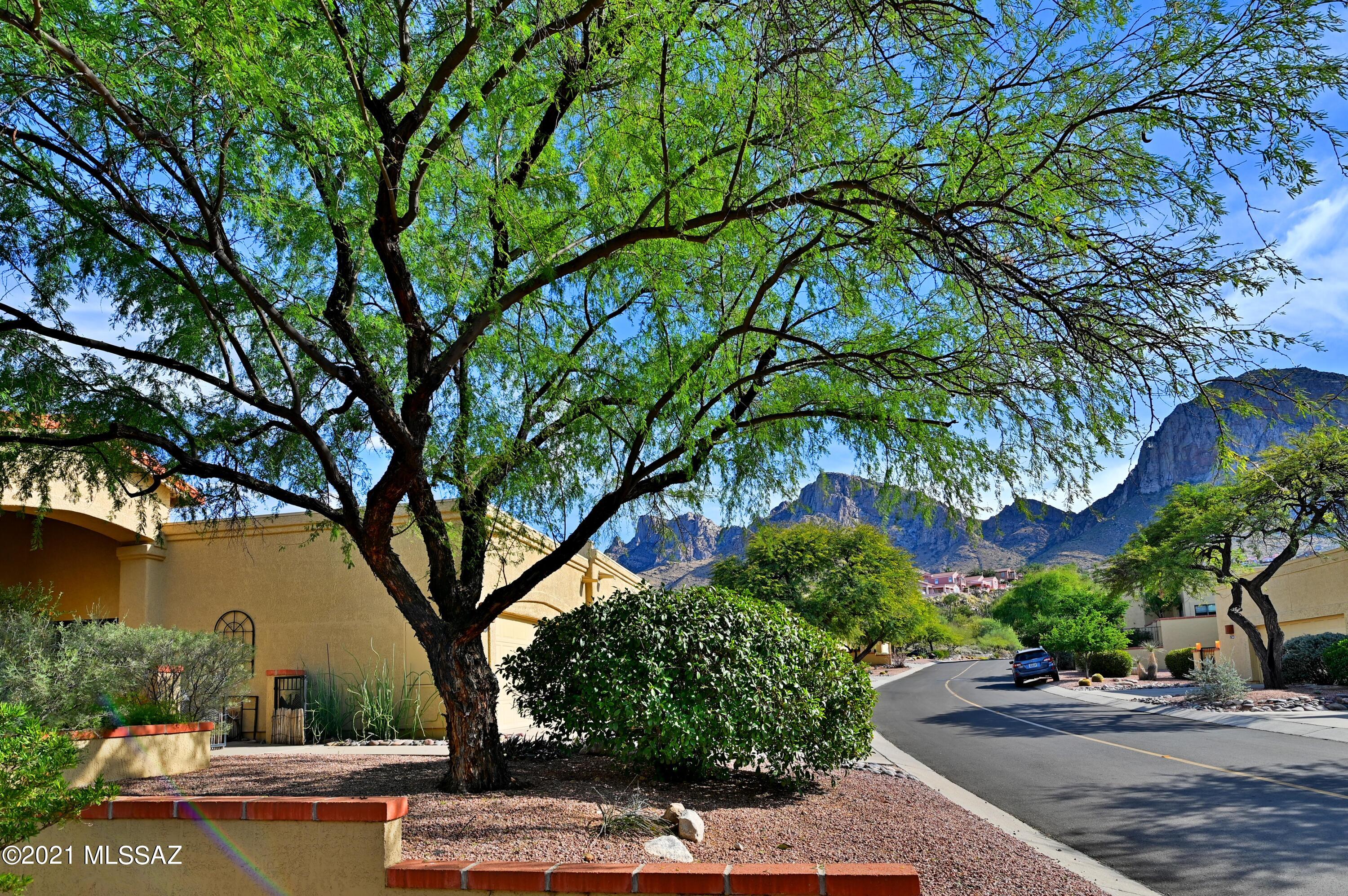 El Conquistador Resort Patio Homes (155-193) - Residential