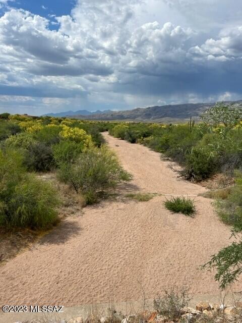 Coyote Creek (1-395) - Land