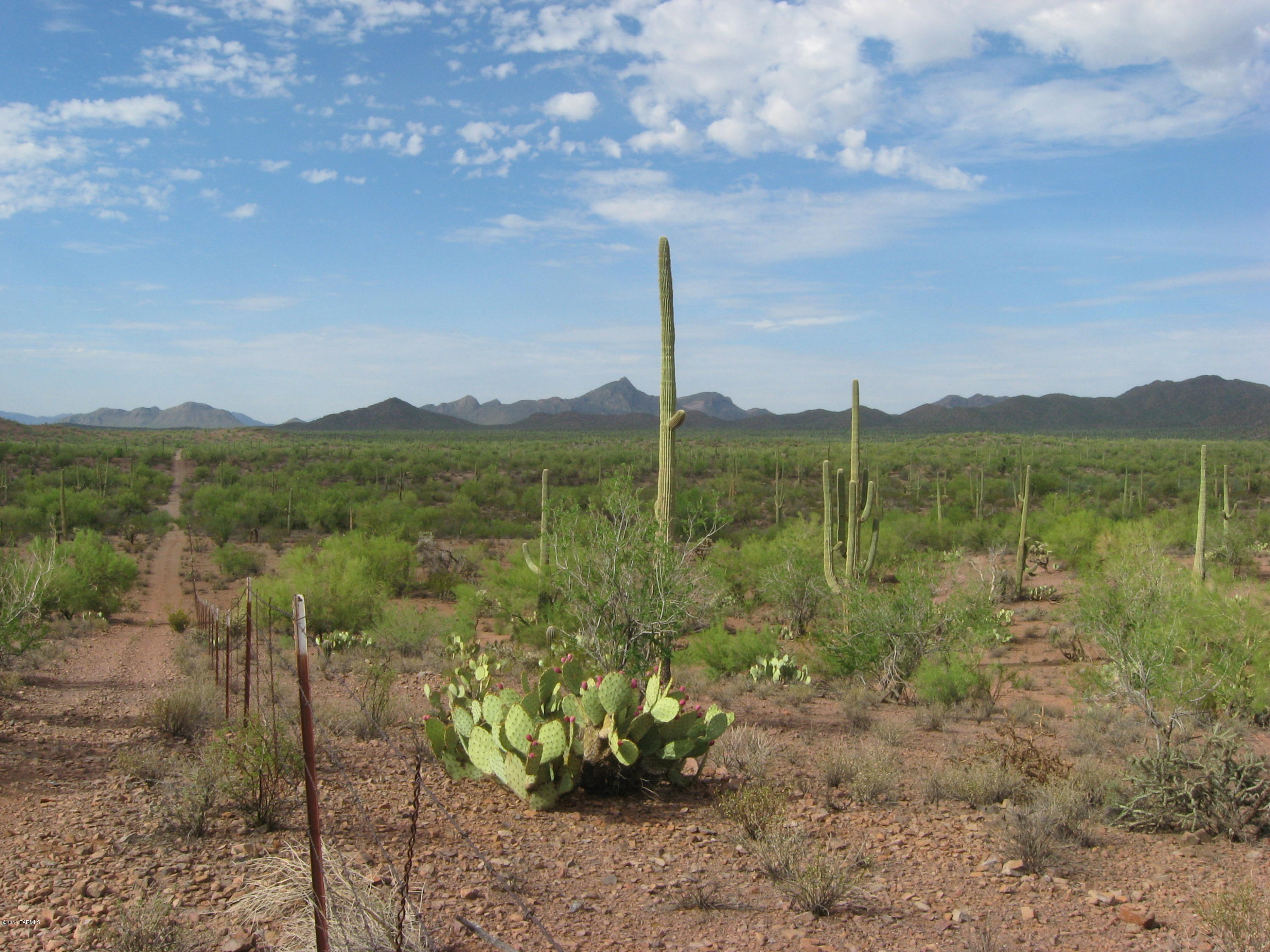 A once in a life time opportunity to own over 600 acres within the boundary of the Ironwood Forest National Monument. An incredible parcel with great views of Ragged Top. Many saguaros and ironwood trees on the property. Electric and phone are close. Property has physical access off of Ragged Top Road.