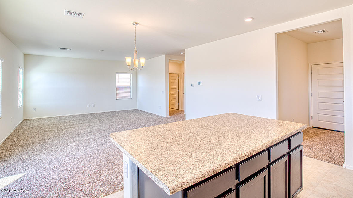 Saguaro Bloom SQ20180540069 - Residential
