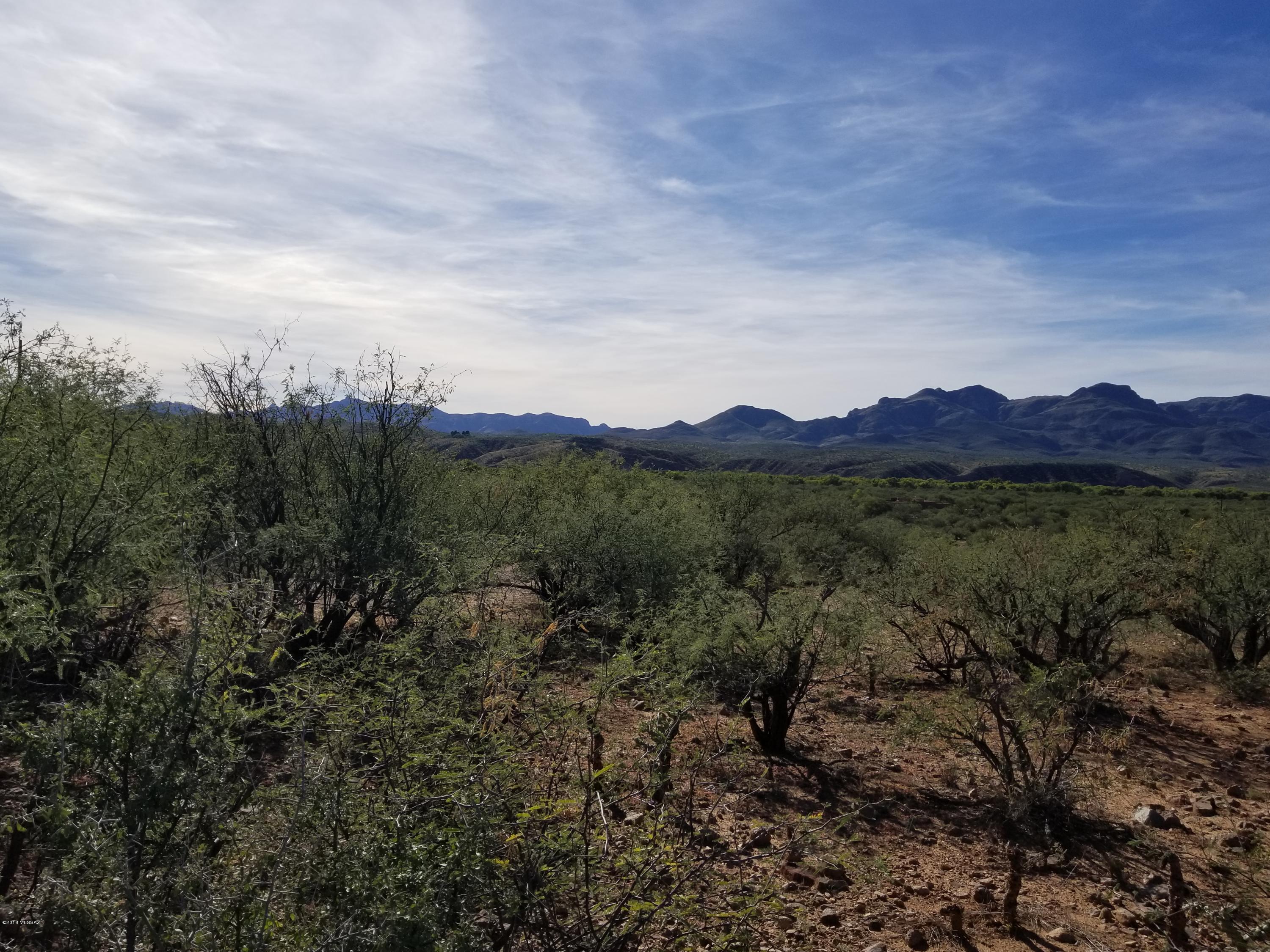 Rio Rico Ranchettes 18 - Land