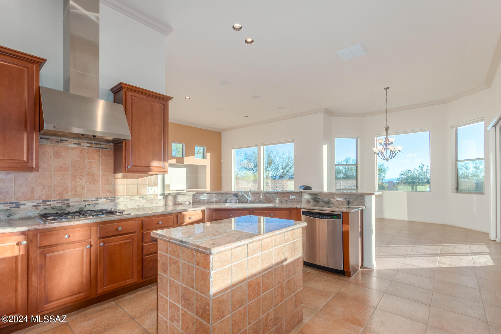 Dos Lagos at Dove Mountain (1-91) - Residential