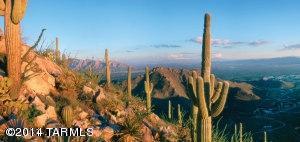 Los Saguaros At Dove Mountain SQ20121640199 - Residential