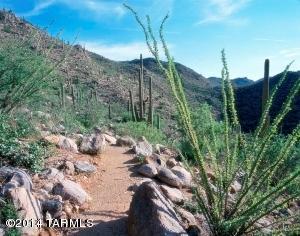 Los Saguaros At Dove Mountain SQ20121640199 - Residential
