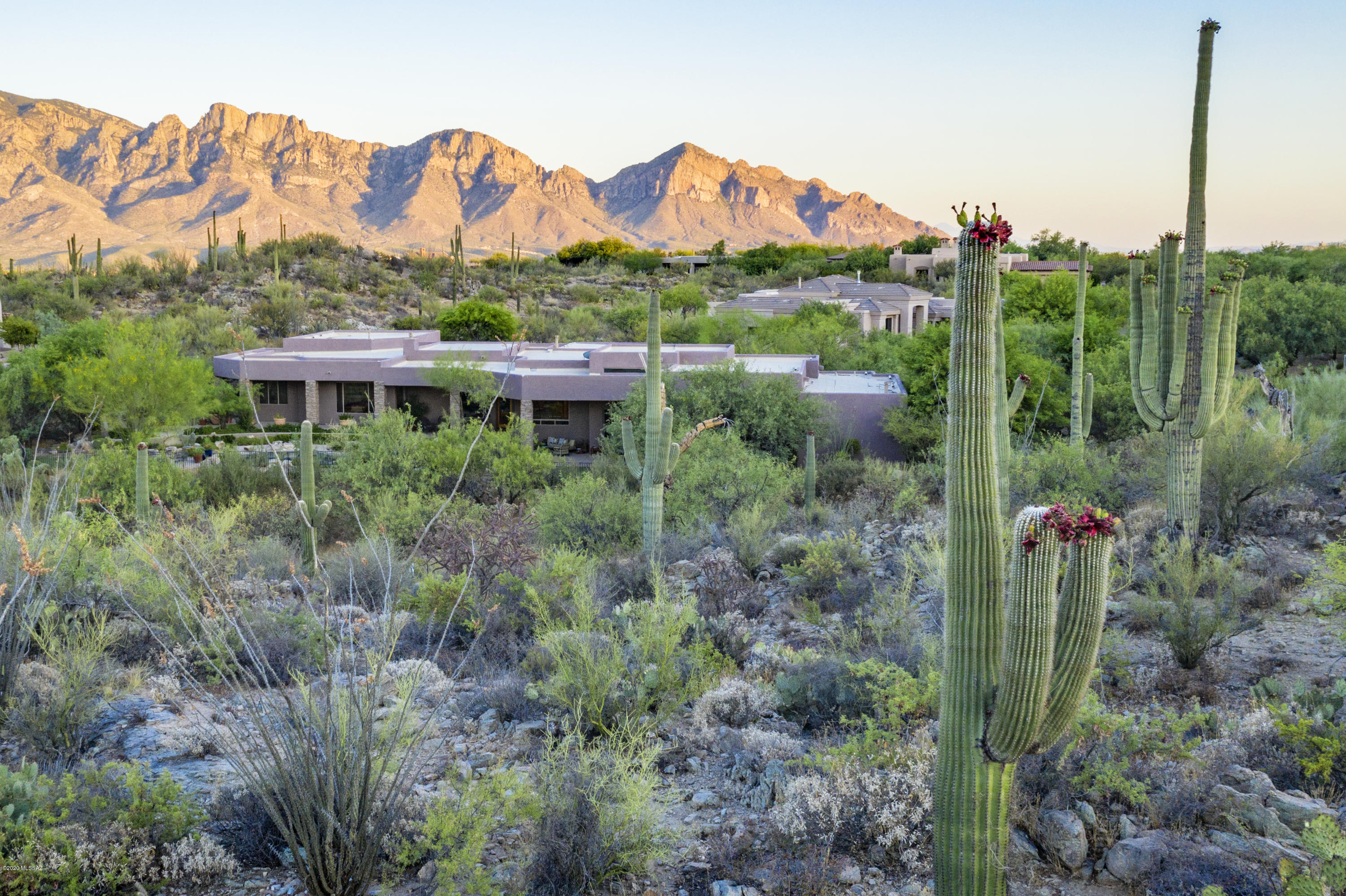 Honey Bee Canyon Estates - Residential