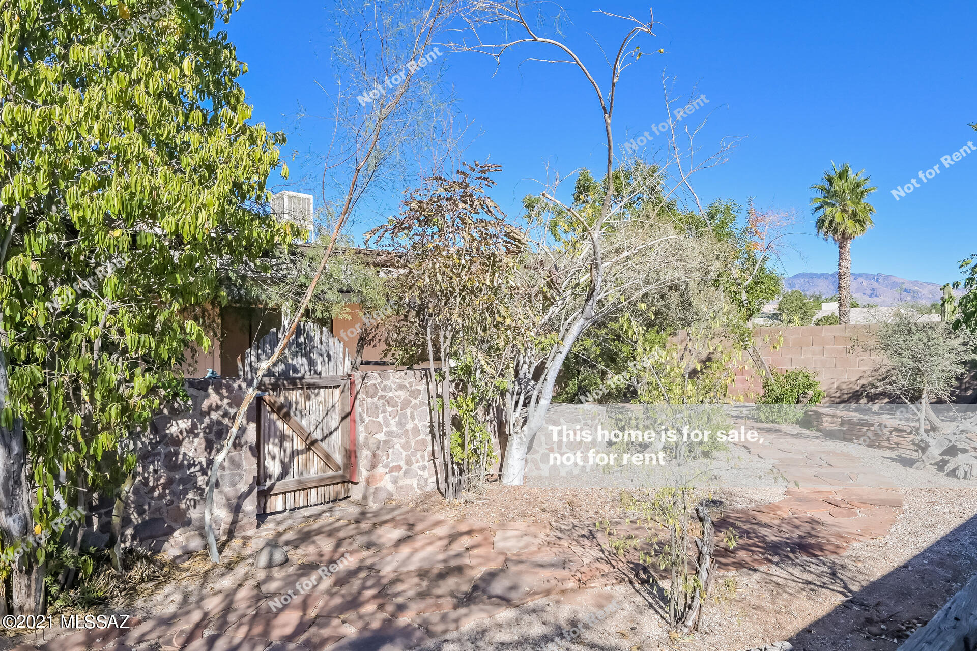 Canyon Terrace (1-65) - Residential