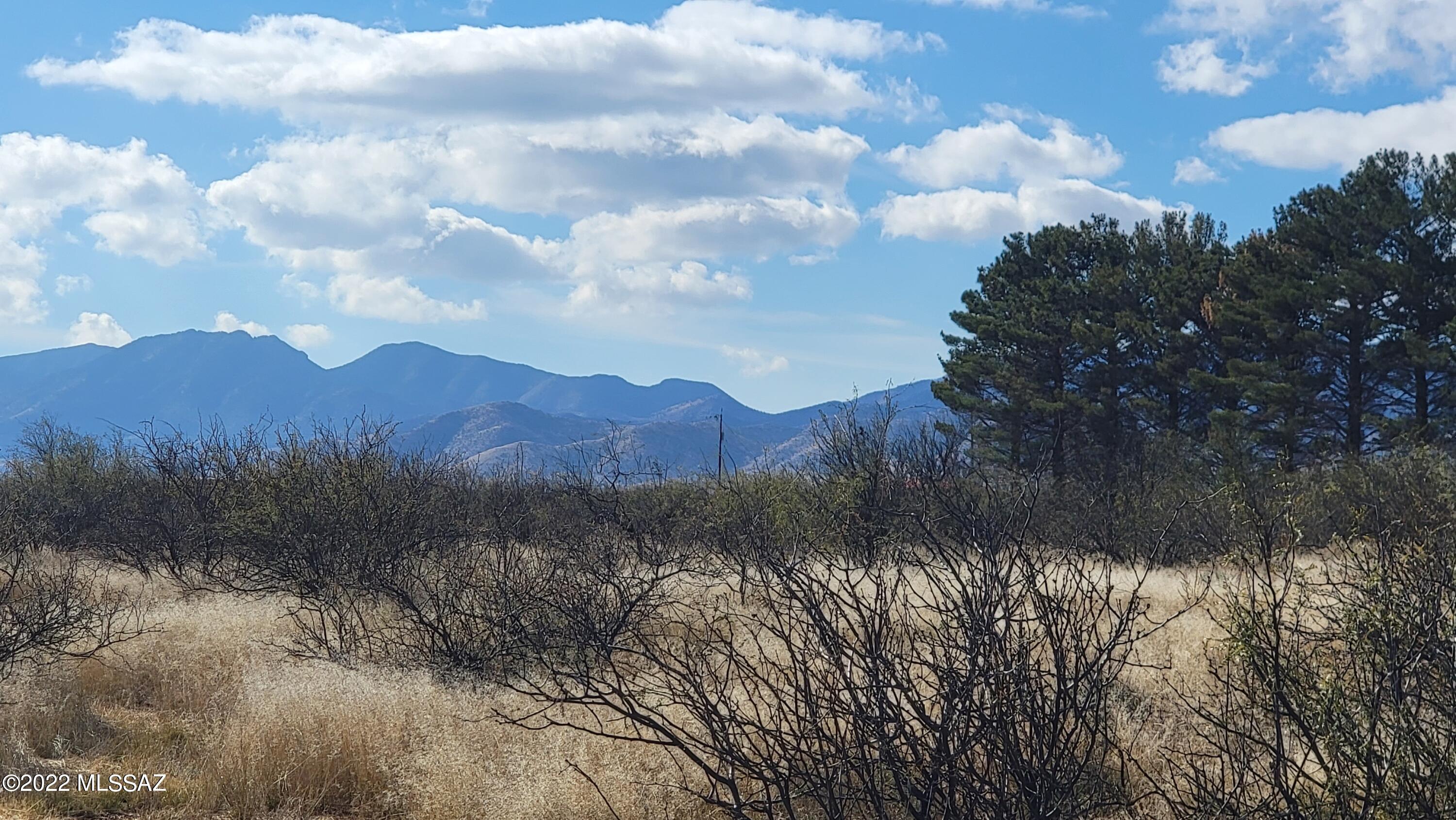 Great fenced 5 acre lot for homesteaders between 2 nice sight
built homes. Bring your house plans or manufactured home. This RU-4 property also qualifies for
owner builder opt out. Electric and phone at property line. Come enjoy a peaceful country life
style with gorgeous views of the Cochise Stronghold. The area is popular with hikers, rock
climbers, star-gazing and bird watching. Nearby Willcox has all amenities as well as wine
festivals and rodeos!