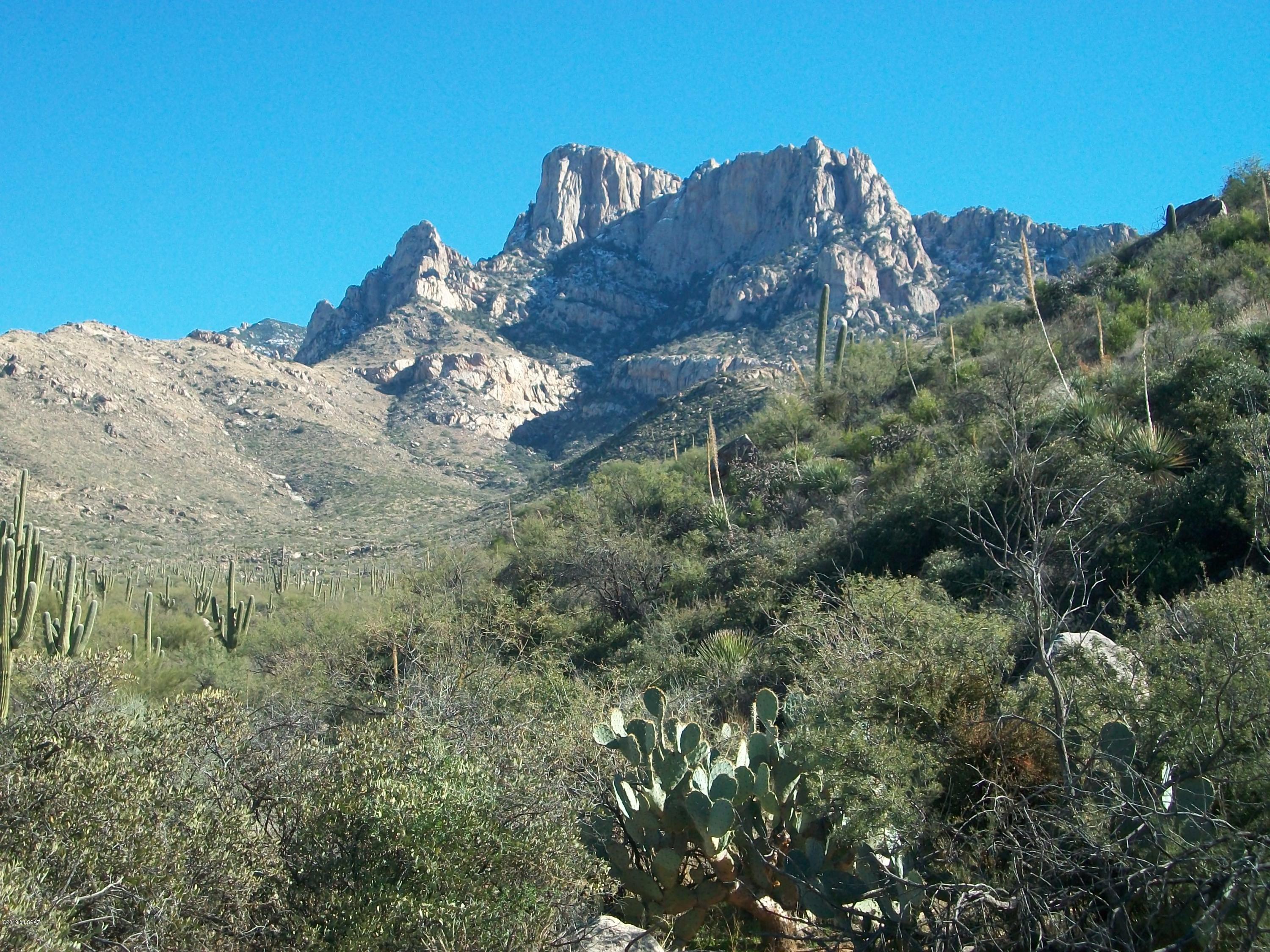 16 acre of Pristine Sonoran vegetation Bordered by National Forest & Wilderness area. Thrilling views of Pusch Ridge & Oro Valley lights through the 'Saddle'. Views of the Tortolita Mountains over the city. Flat topo building site at end of cul-de-sac. Owner will build to suit or sell lot solely.
Follow flagging to flat building site. Long meandering driveway through majestic rock outcroppings, mesquites and Saguaros.