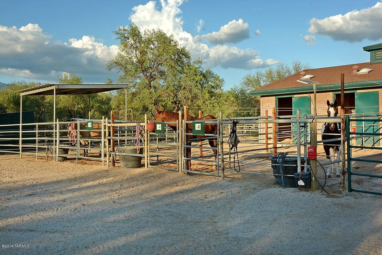 Tanque Verde Country Estates - Residential