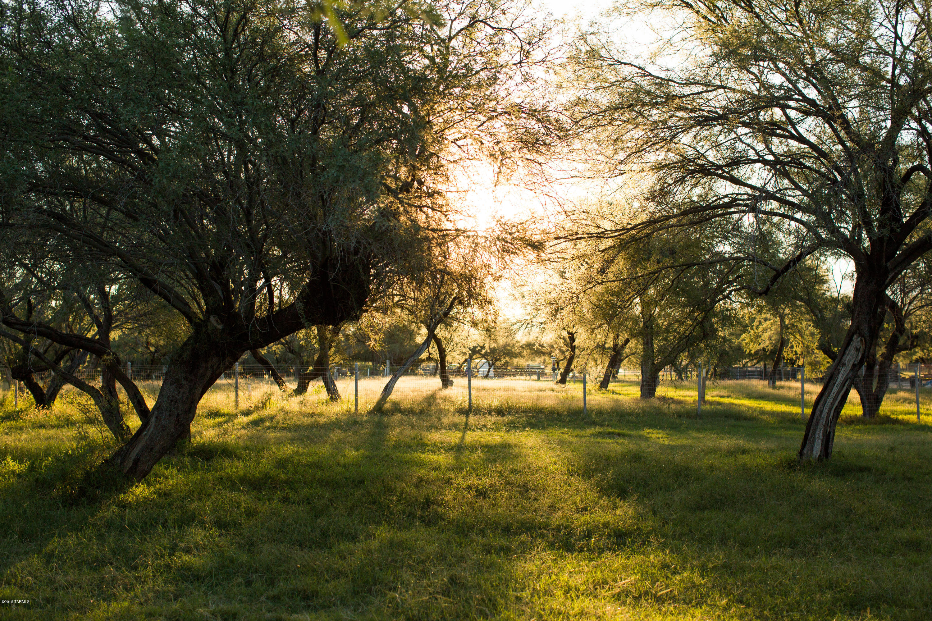 Tanque Verde Country Estates - Residential