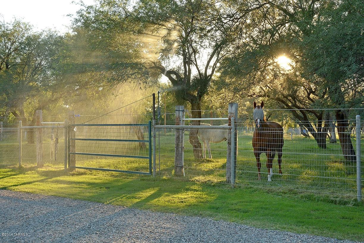 Tanque Verde Country Estates - Residential