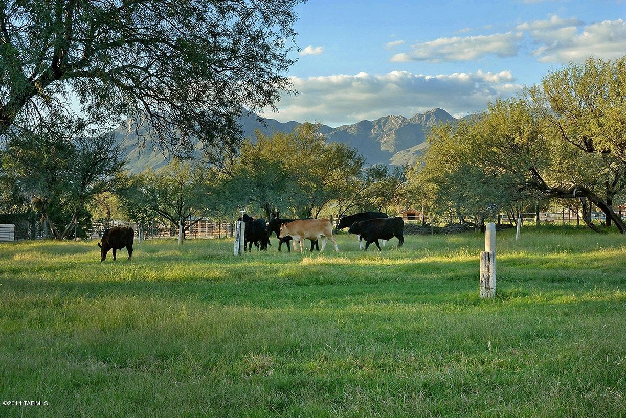 Tanque Verde Country Estates - Residential