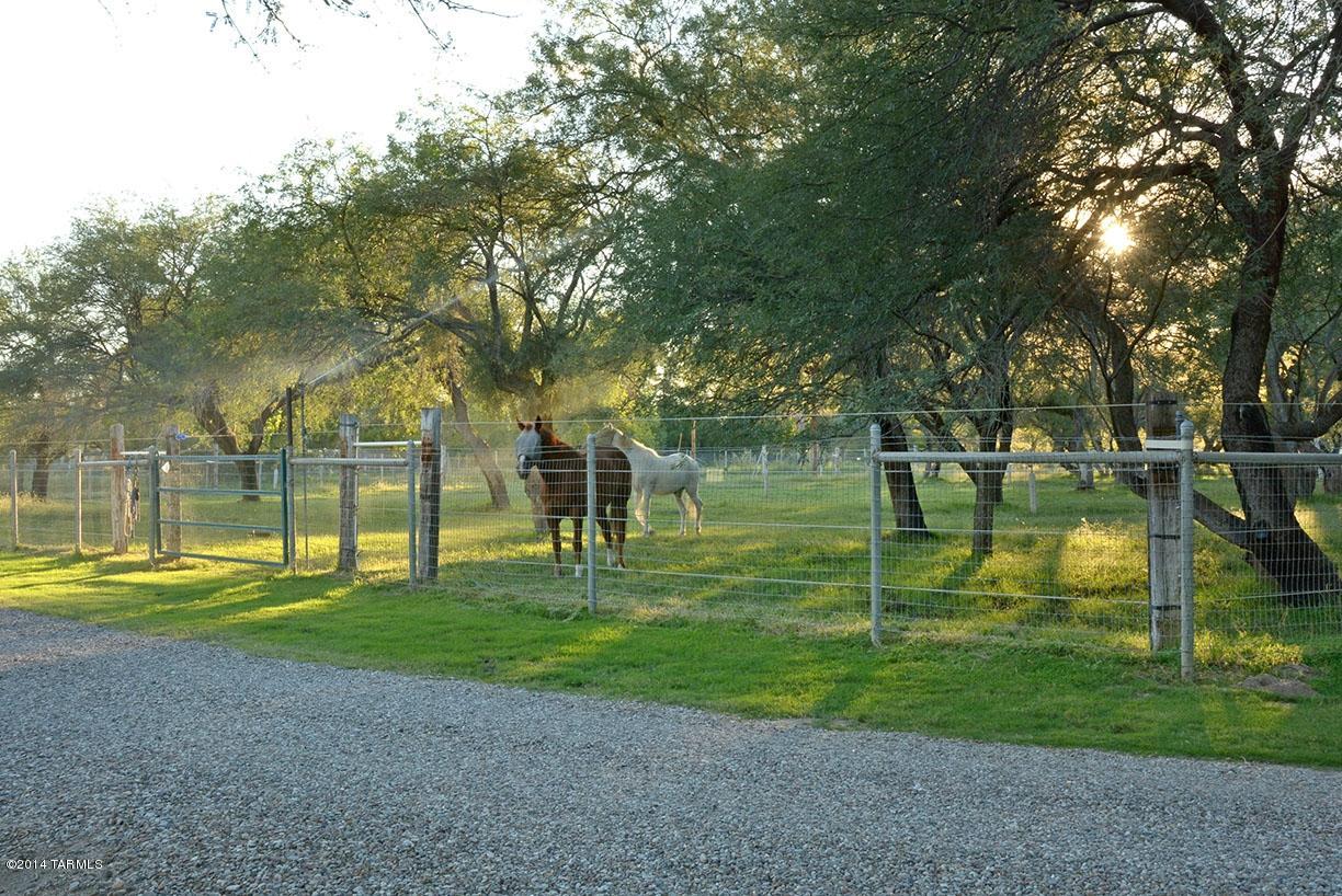 Tanque Verde Country Estates - Residential