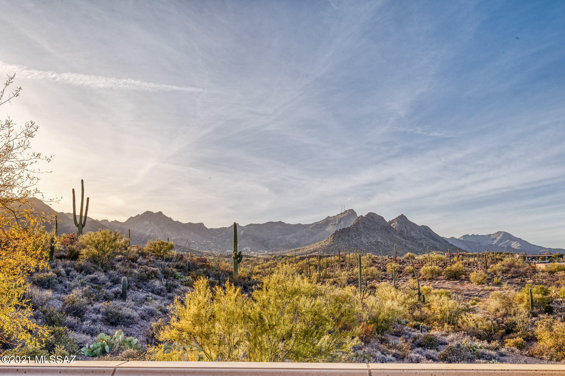 Saguaro Cliffs (1-61) - Residential