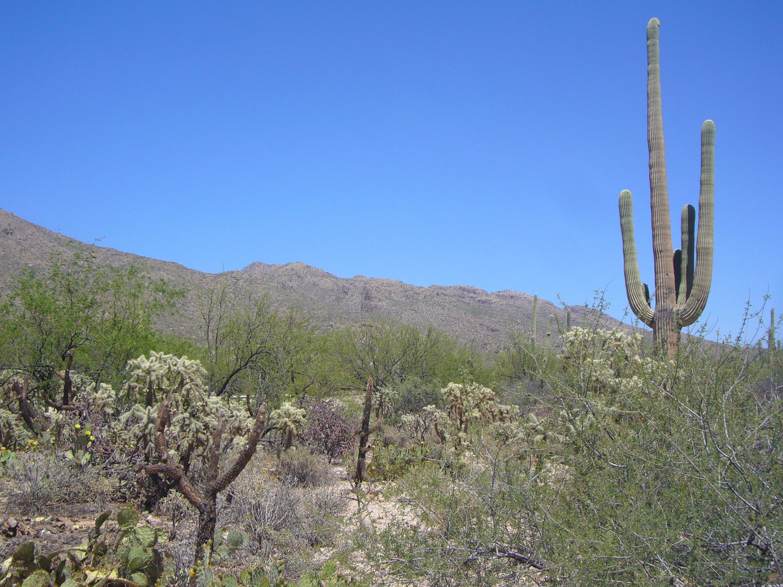 Fetzer Ranch (1-60) - Land