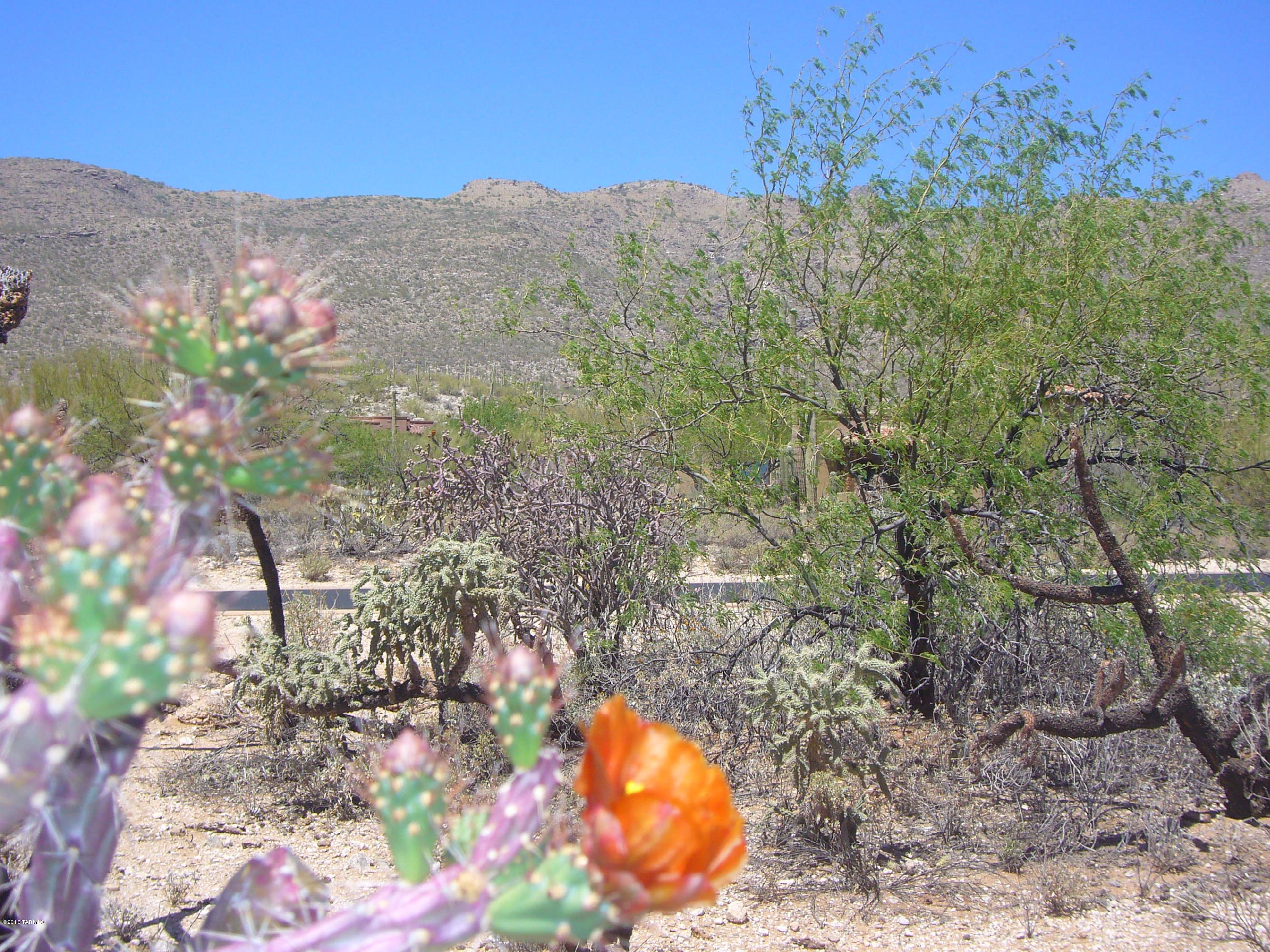 Fetzer Ranch (1-60) - Land